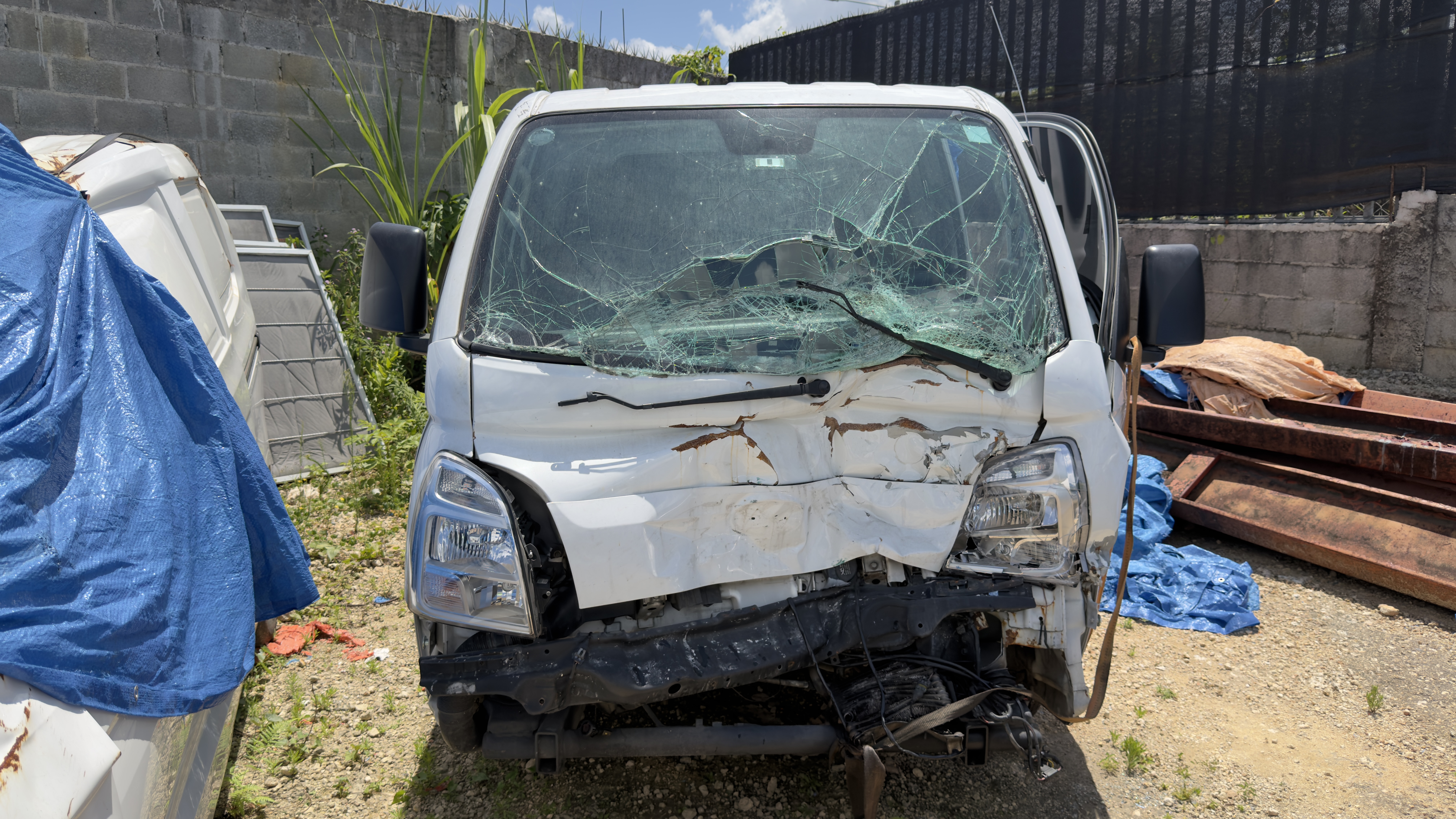 Imagen 6